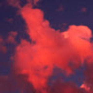 Meet your Posher, Beverly